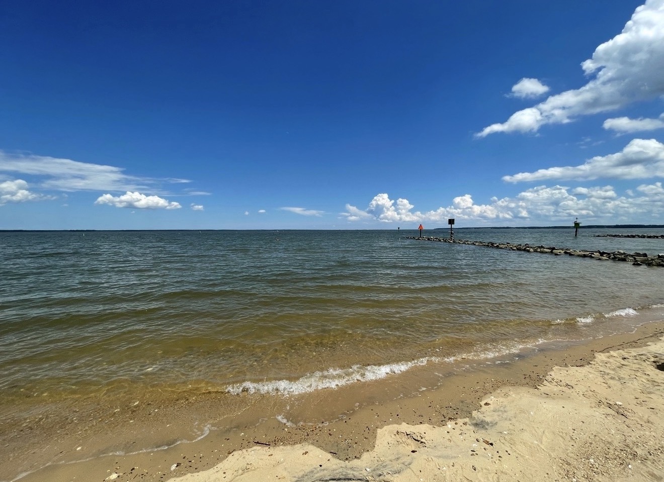 River shoreline under a summer sky